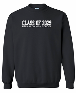 CLASS OF 2029 (UNISEX DESIGN)